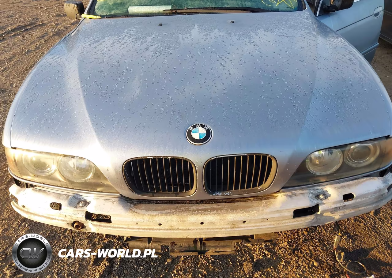 2002 BMW 525Ia VIN:WBADT43482GZ96959 - 10