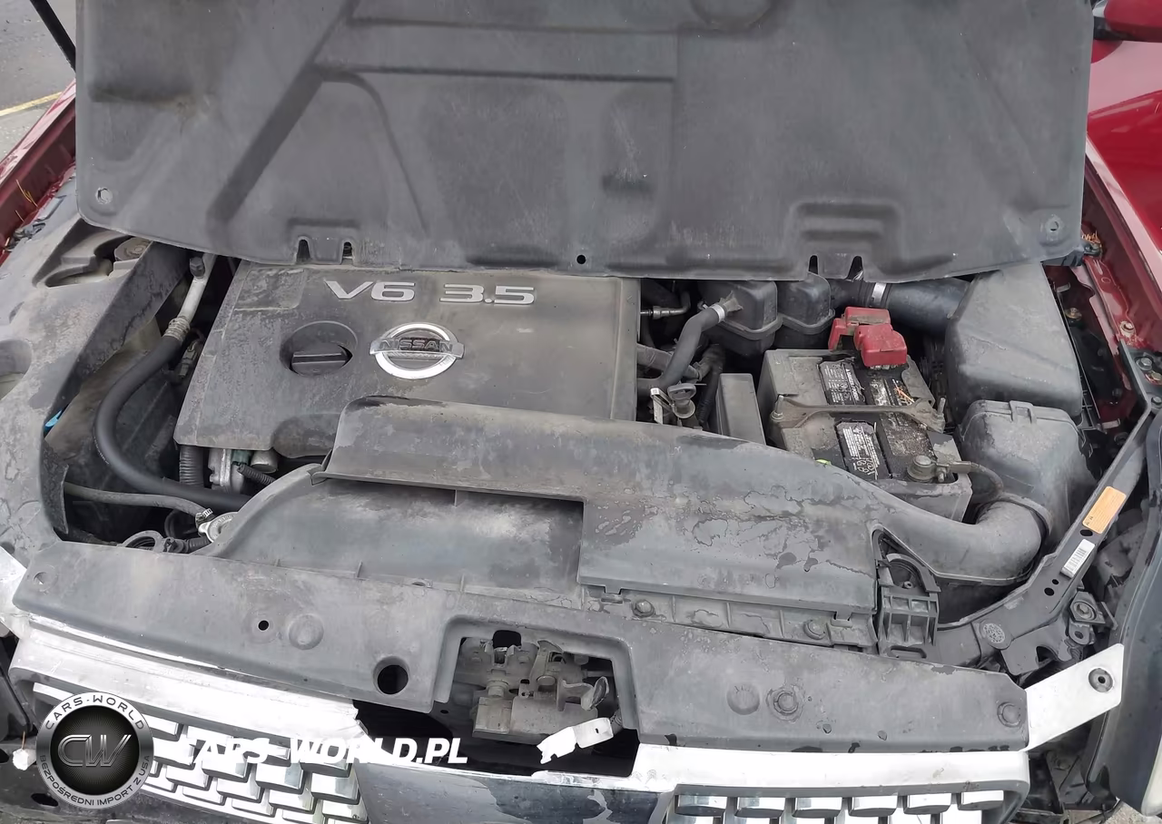 2004 Nissan Maxima 3.5 Sl VIN:1N4BA41E24C819206 - 10