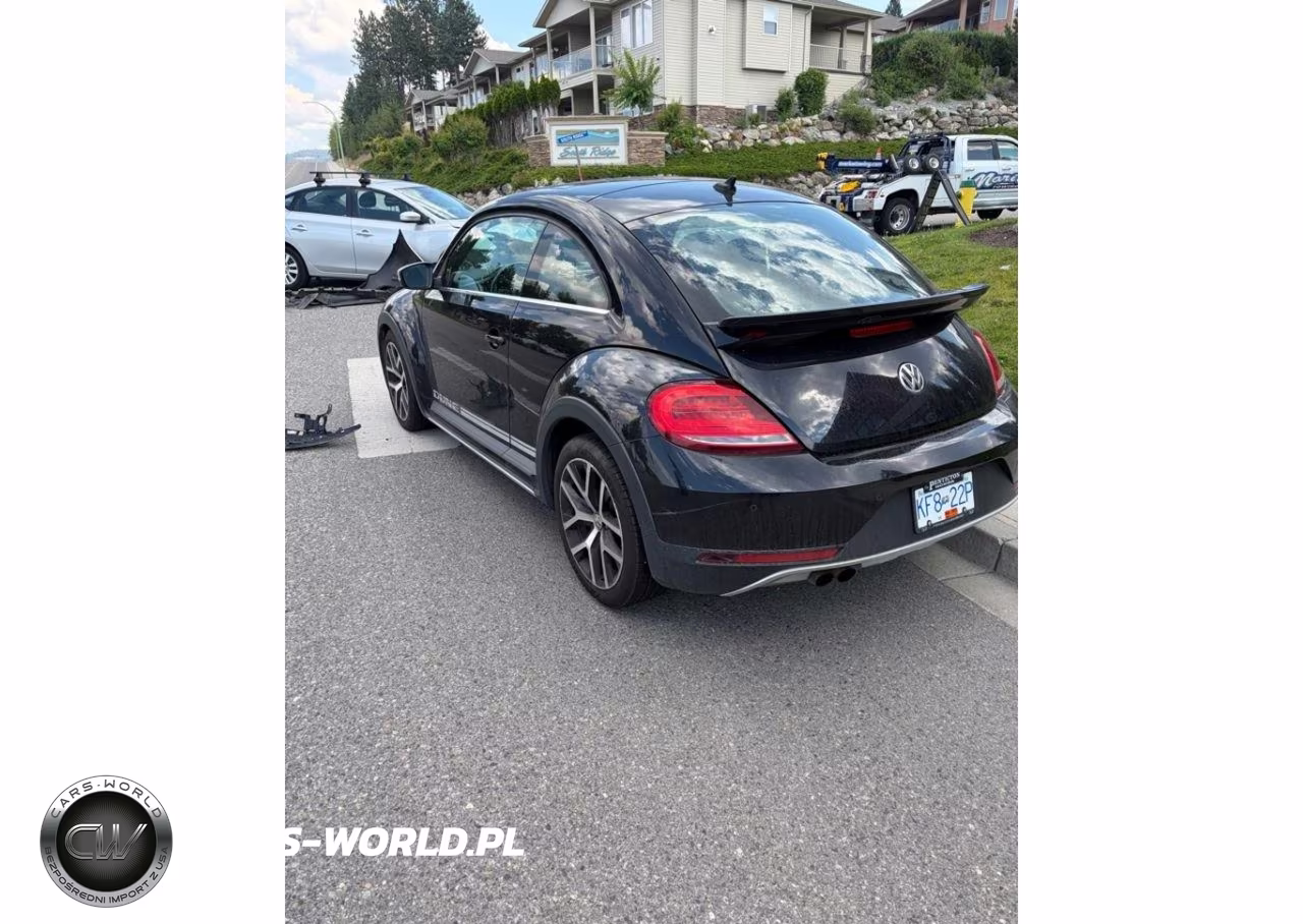 2003 Honda Civic Ex VIN:1HGES25723L003956 - 3