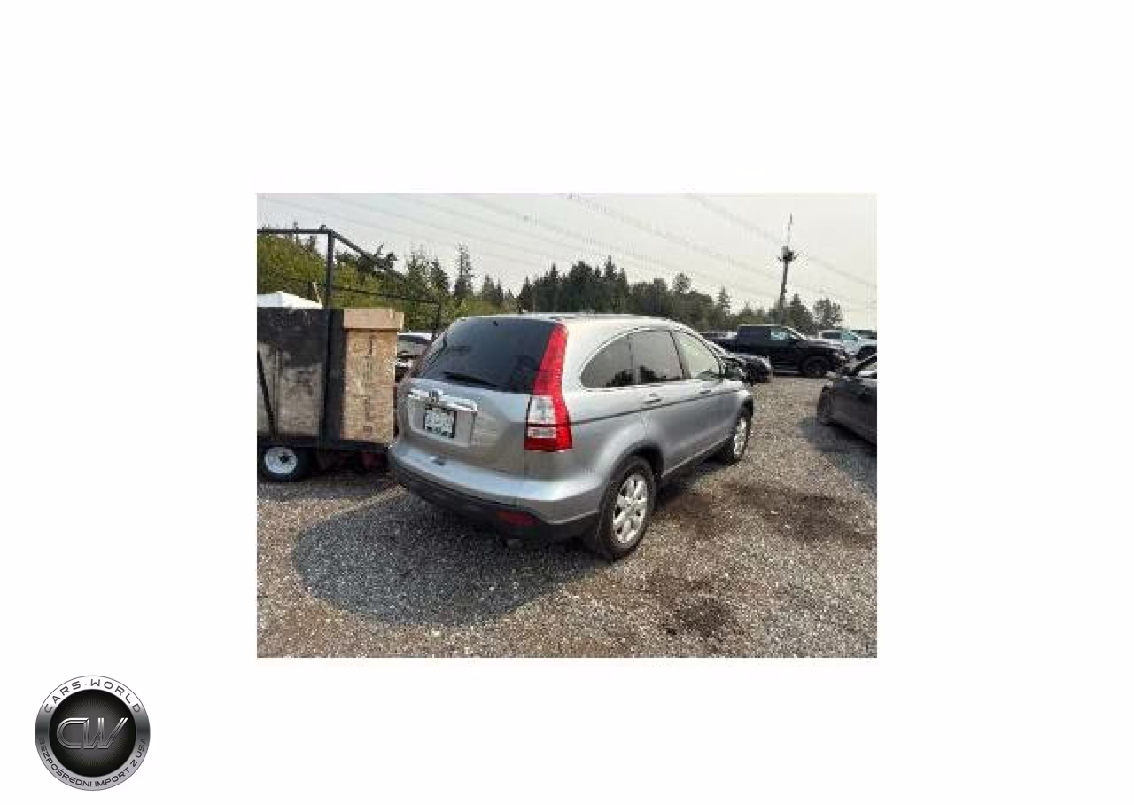 2009 Scion Xb VIN:JTLKE50E291085583 - 4