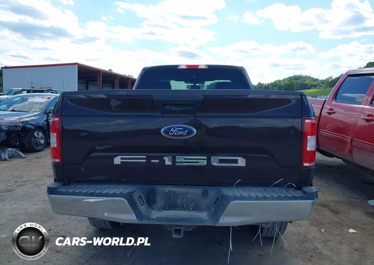 2019 Ford F-150 Xlt VIN:1FTMF1EB1KKD32522 - 16