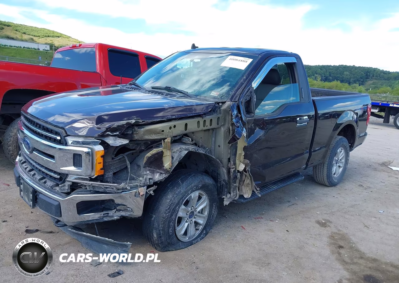 2019 Ford F-150 Xlt VIN:1FTMF1EB1KKD32522 - 2