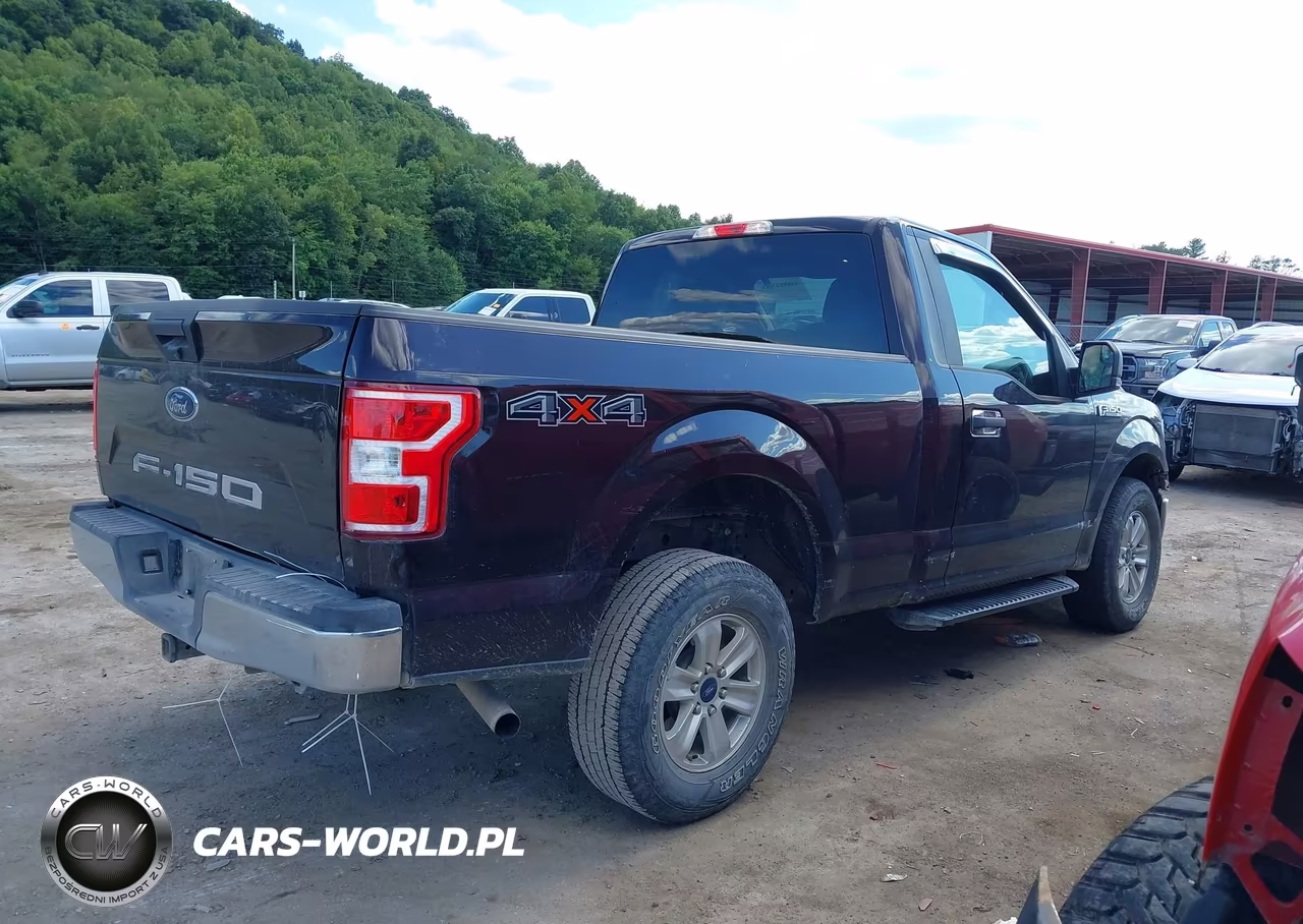 2019 Ford F-150 Xlt VIN:1FTMF1EB1KKD32522 - 4