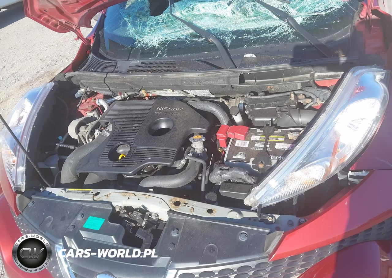 2011 Nissan Juke S-Sv-Sl VIN:JN8AF5MR4BT008228 - 10