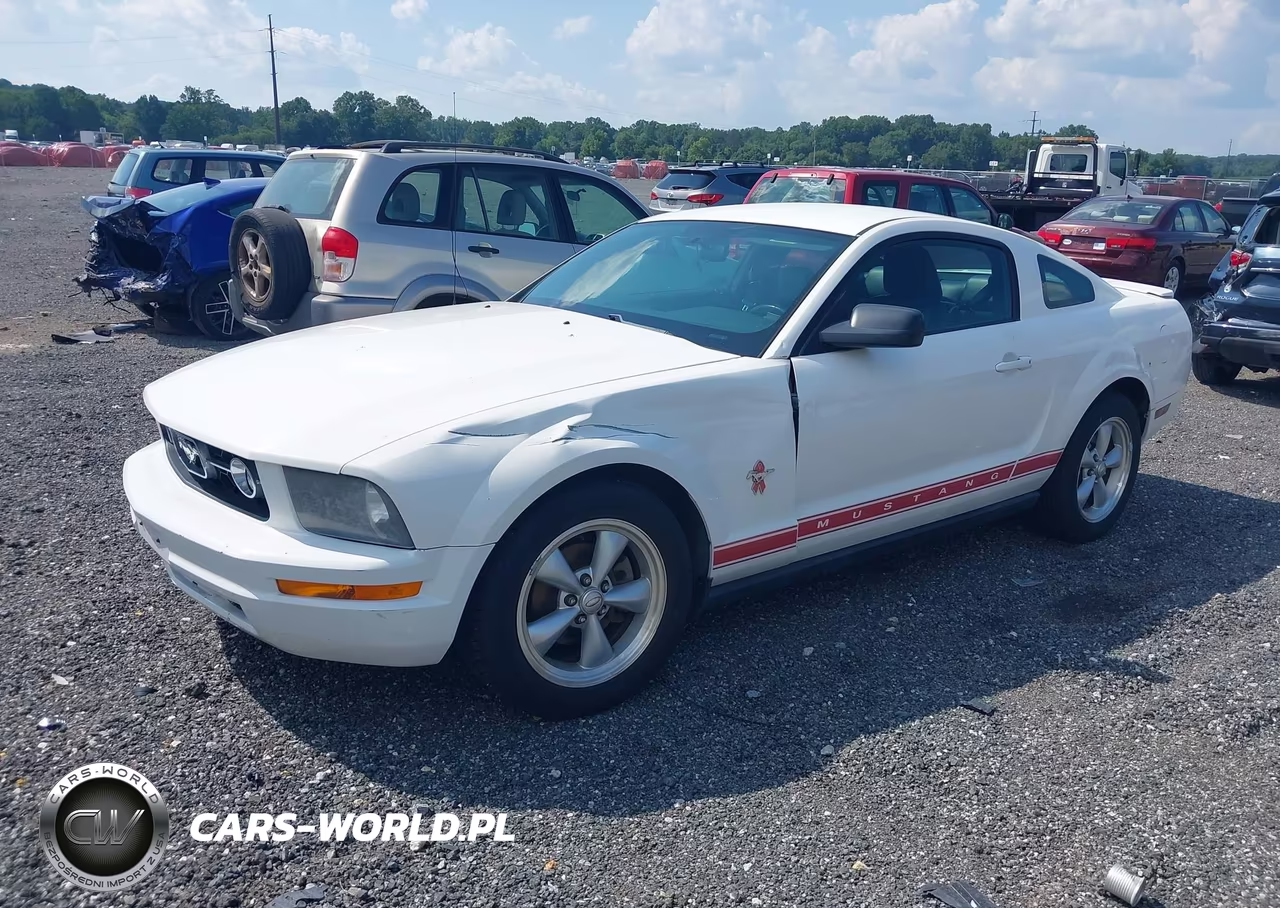 2008 Ford Mustang V6 Deluxe-V6 Premium VIN:1ZVHT80N885104462 - 2