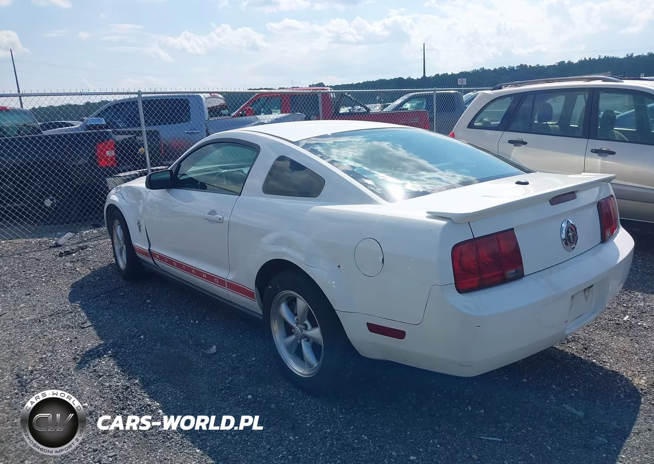 2008 Ford Mustang V6 Deluxe-V6 Premium VIN:1ZVHT80N885104462 - 3