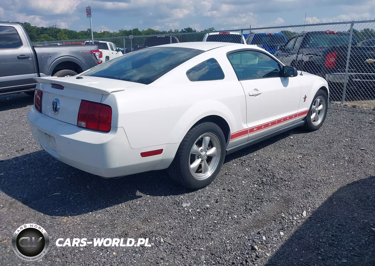 2008 Ford Mustang V6 Deluxe-V6 Premium VIN:1ZVHT80N885104462 - 4