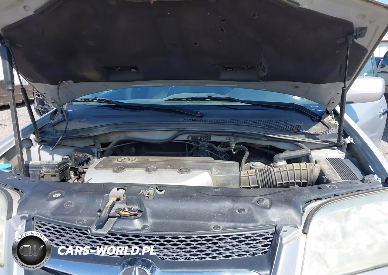 2003 Acura Mdx VIN:2HNYD18663H524608 - 10