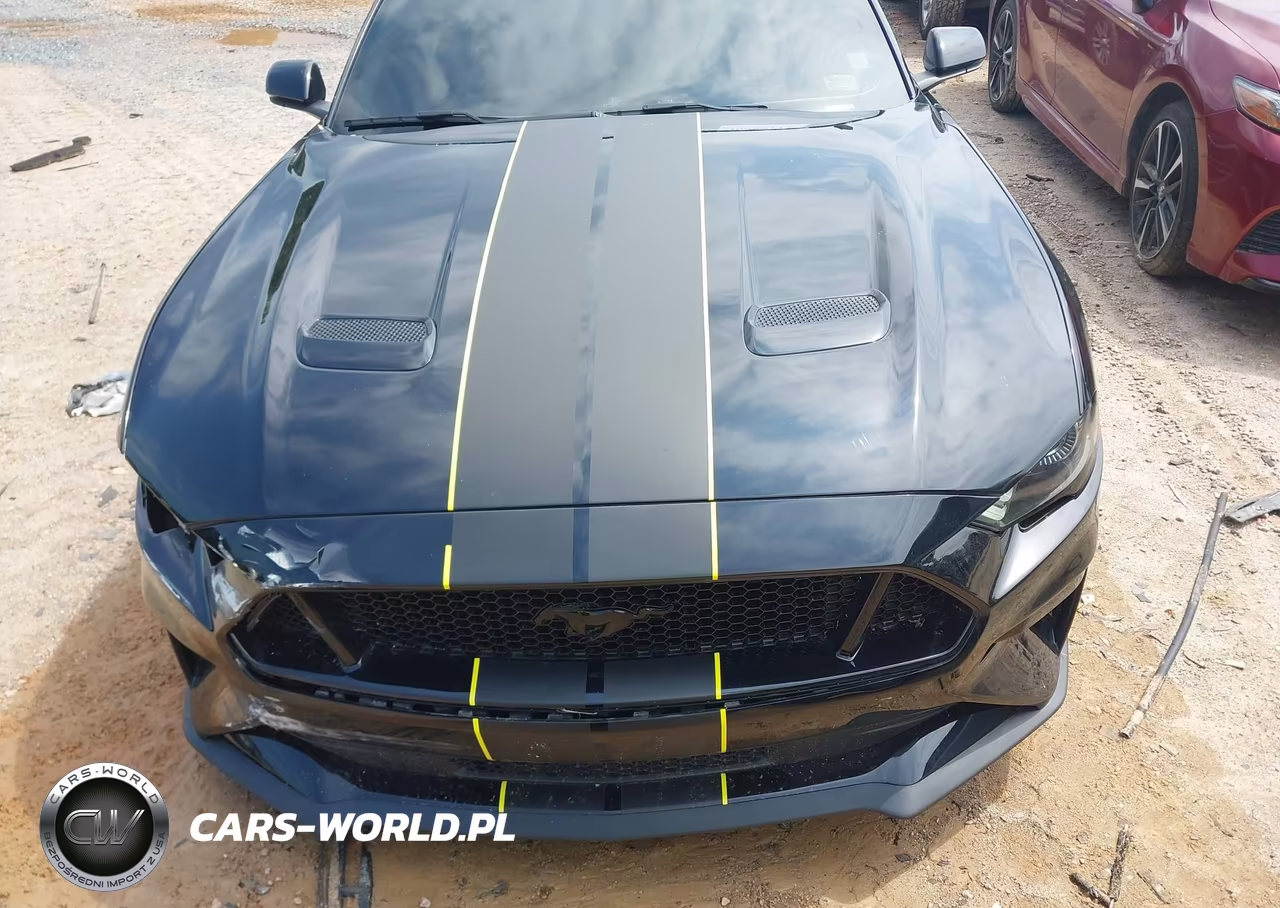 2019 Ford Mustang Gt Premium VIN:1FATP8FF6K5138351 - 12