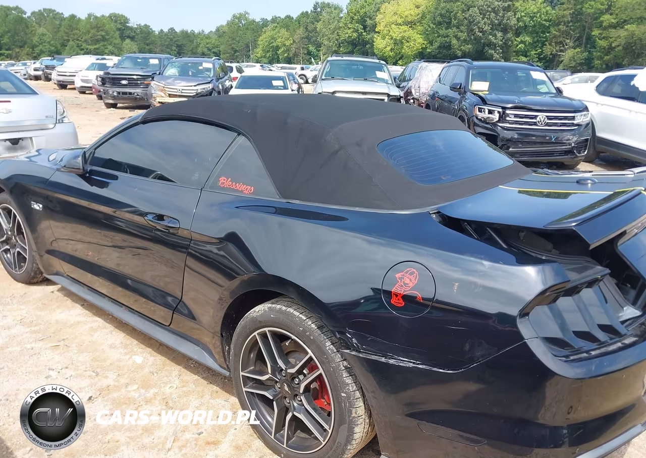 2019 Ford Mustang Gt Premium VIN:1FATP8FF6K5138351 - 14