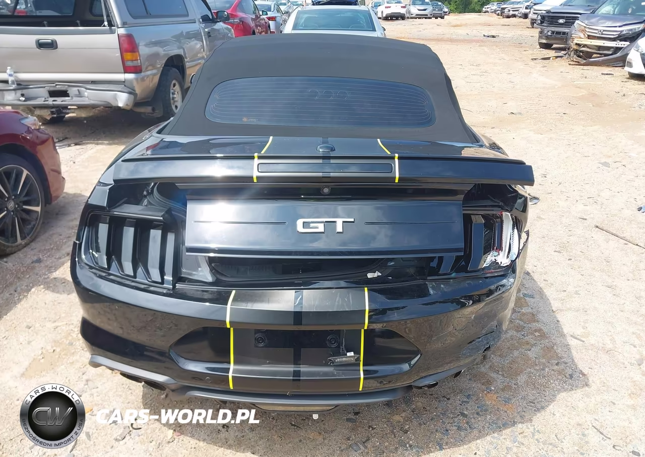2019 Ford Mustang Gt Premium VIN:1FATP8FF6K5138351 - 16