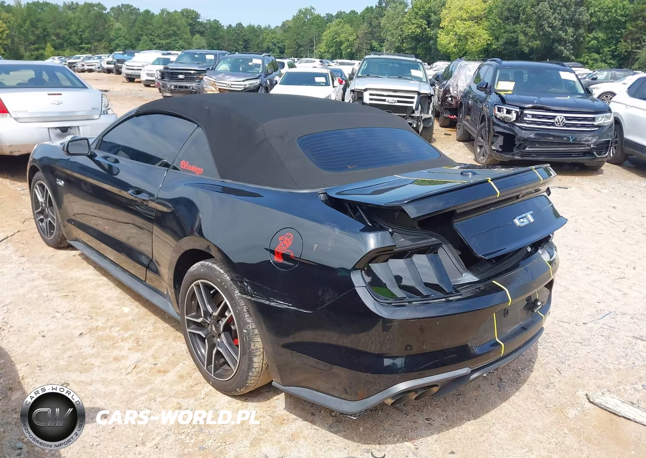 2019 Ford Mustang Gt Premium VIN:1FATP8FF6K5138351 - 3