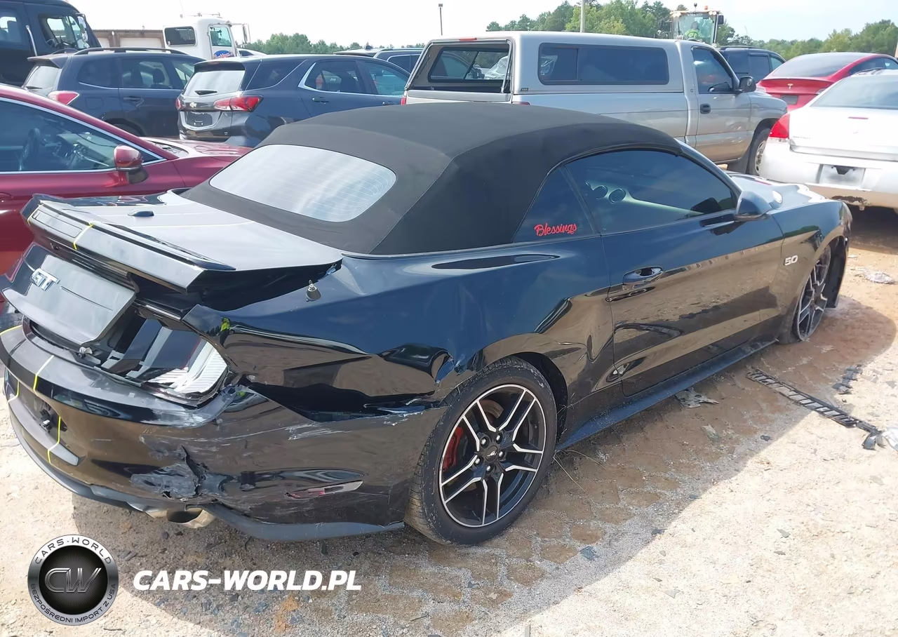 2019 Ford Mustang Gt Premium VIN:1FATP8FF6K5138351 - 4