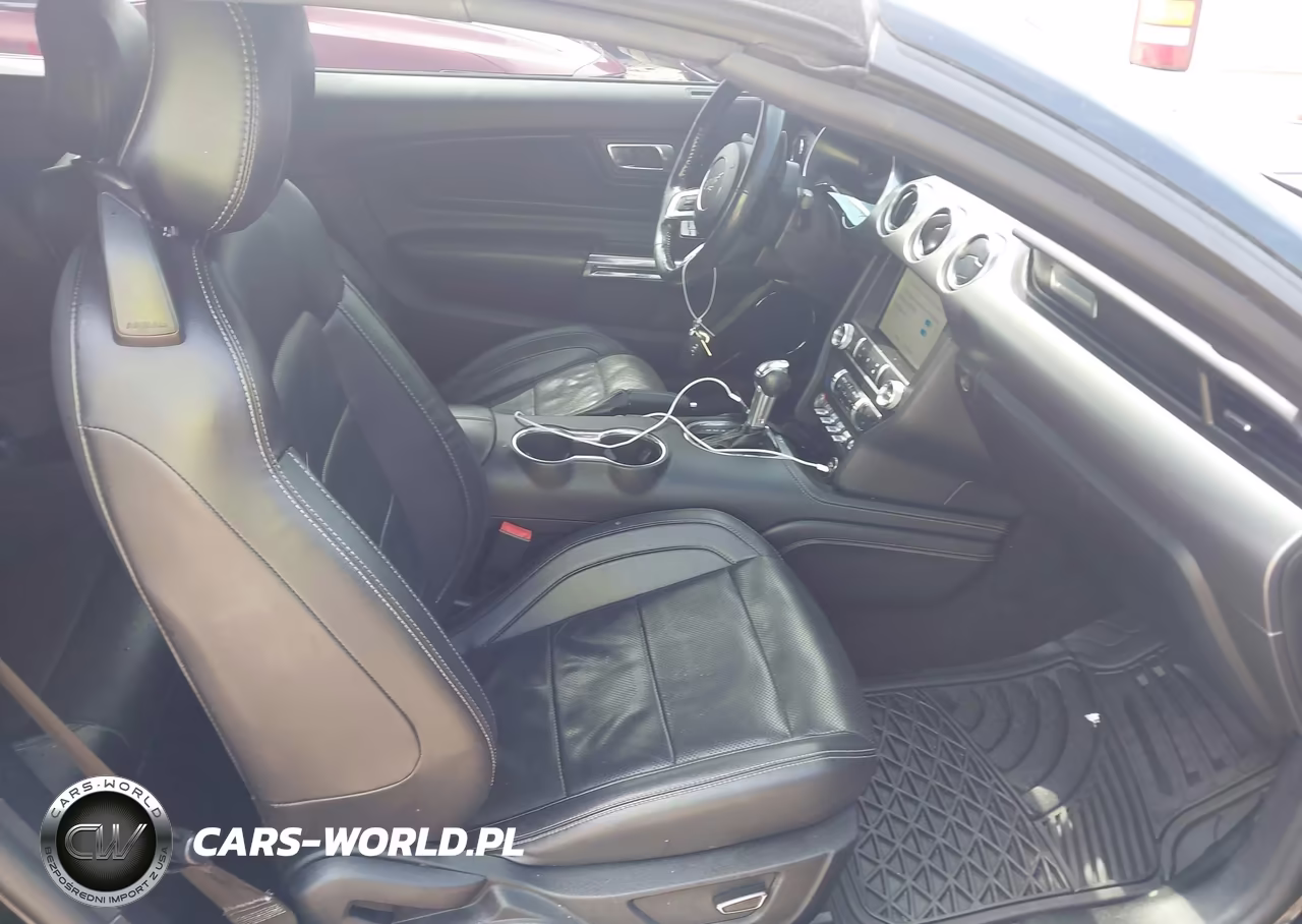 2019 Ford Mustang Gt Premium VIN:1FATP8FF6K5138351 - 5