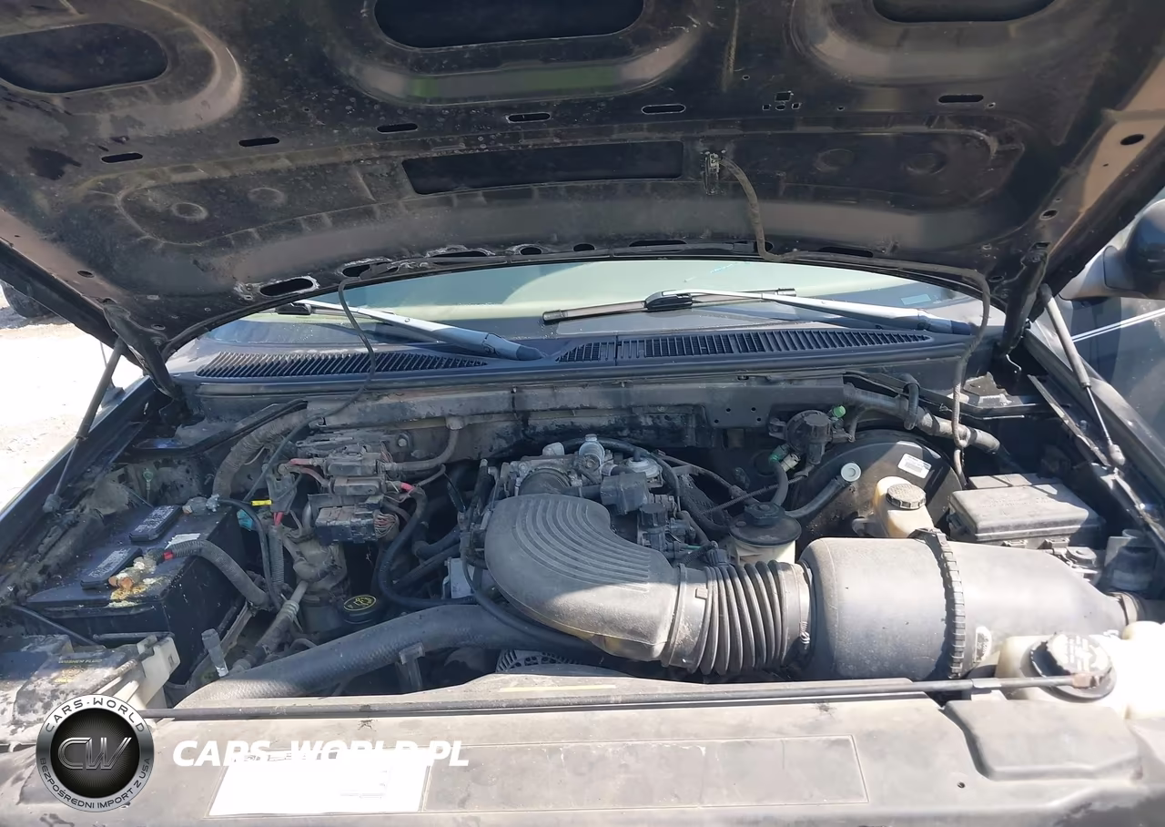 1998 Ford F-150 Lariat-Standard-Xl-Xlt VIN:1FTZF1769WNA35461 - 10