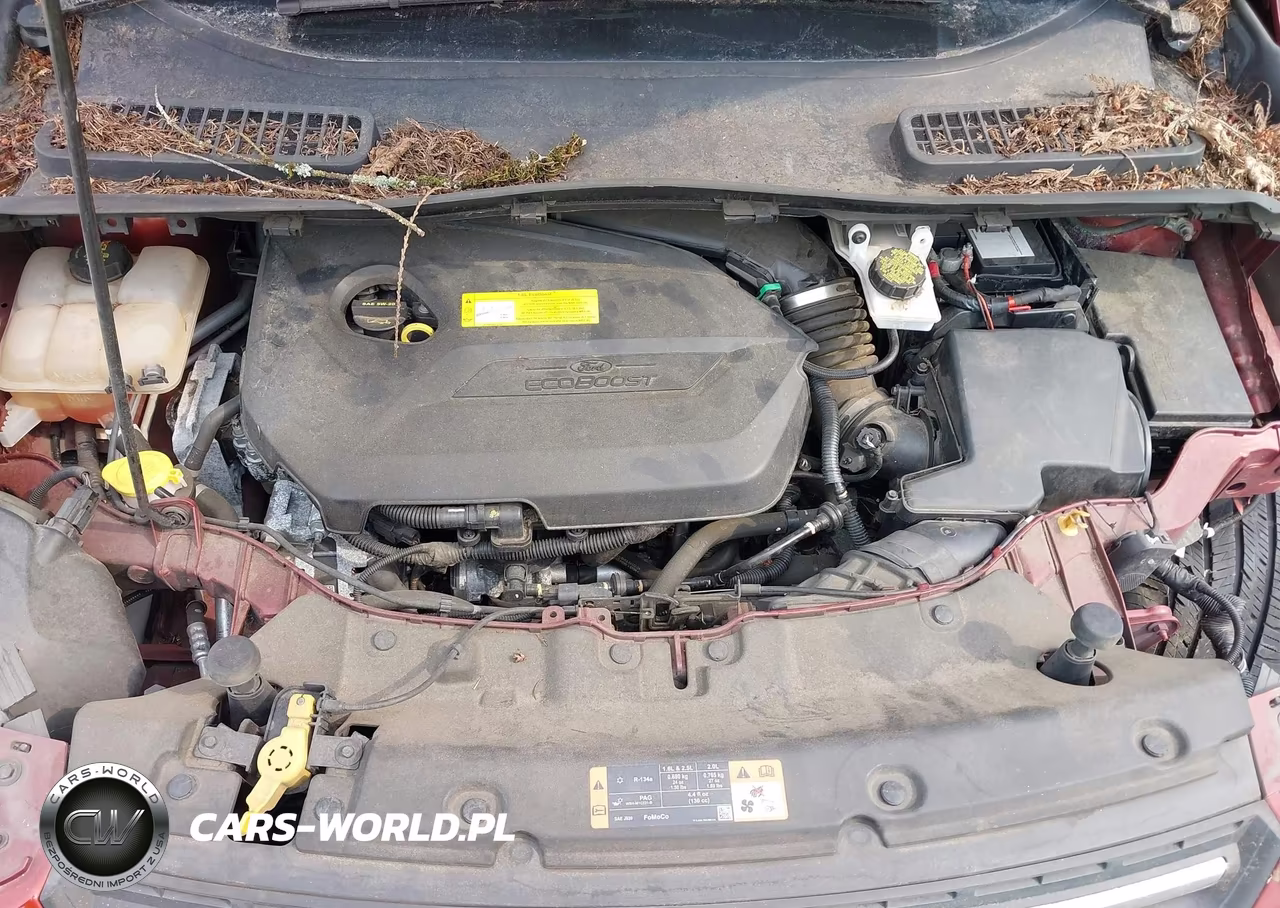 2015 Ford Escape Se VIN:1FMCU9GX7FUC27174 - 10