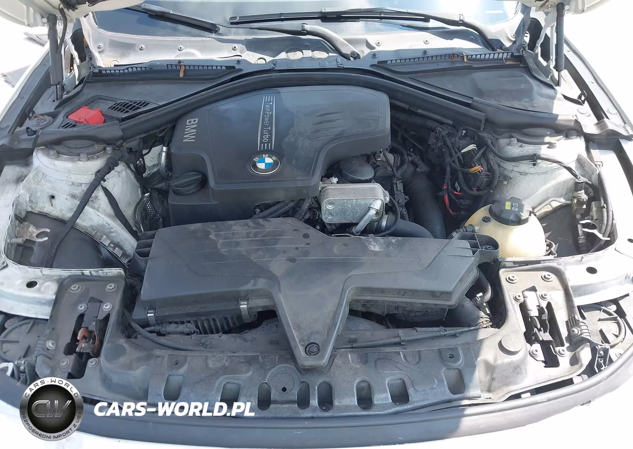 2016 BMW 428I VIN:WBA3N7C54GK226973 - 10