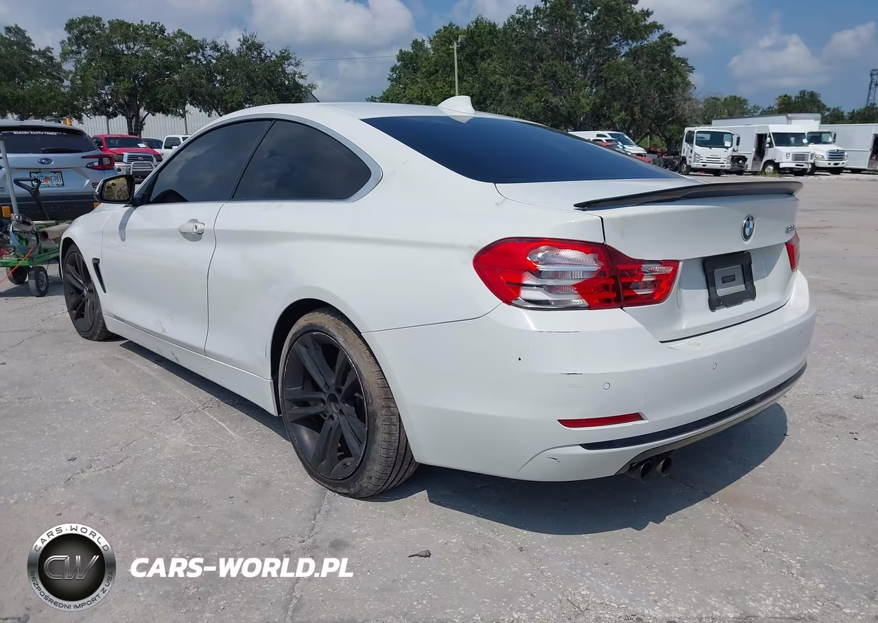 2016 BMW 428I VIN:WBA3N7C54GK226973 - 3