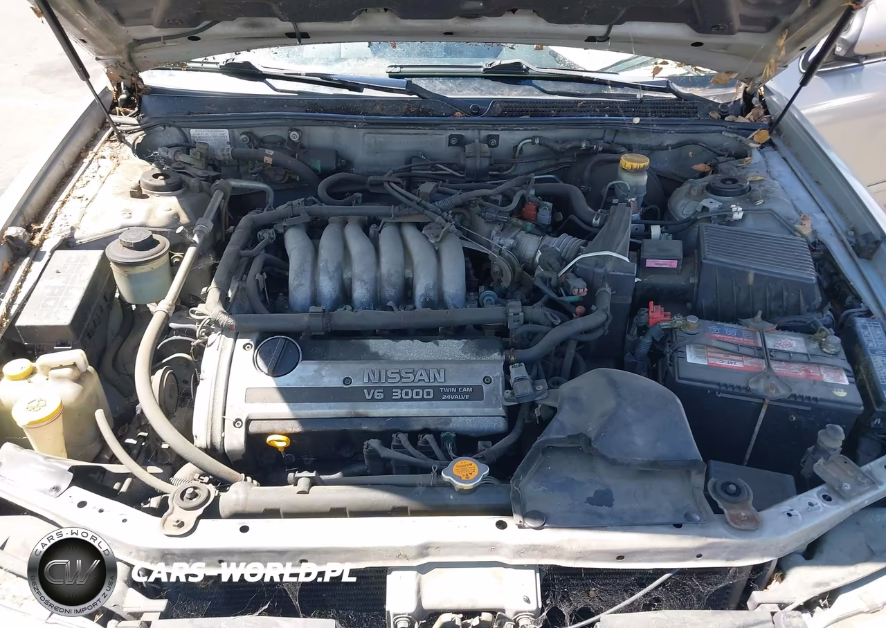 1999 Nissan Maxima Gle-Gxe-Se-Se-L VIN:JN1CA21D3XT218517 - 10