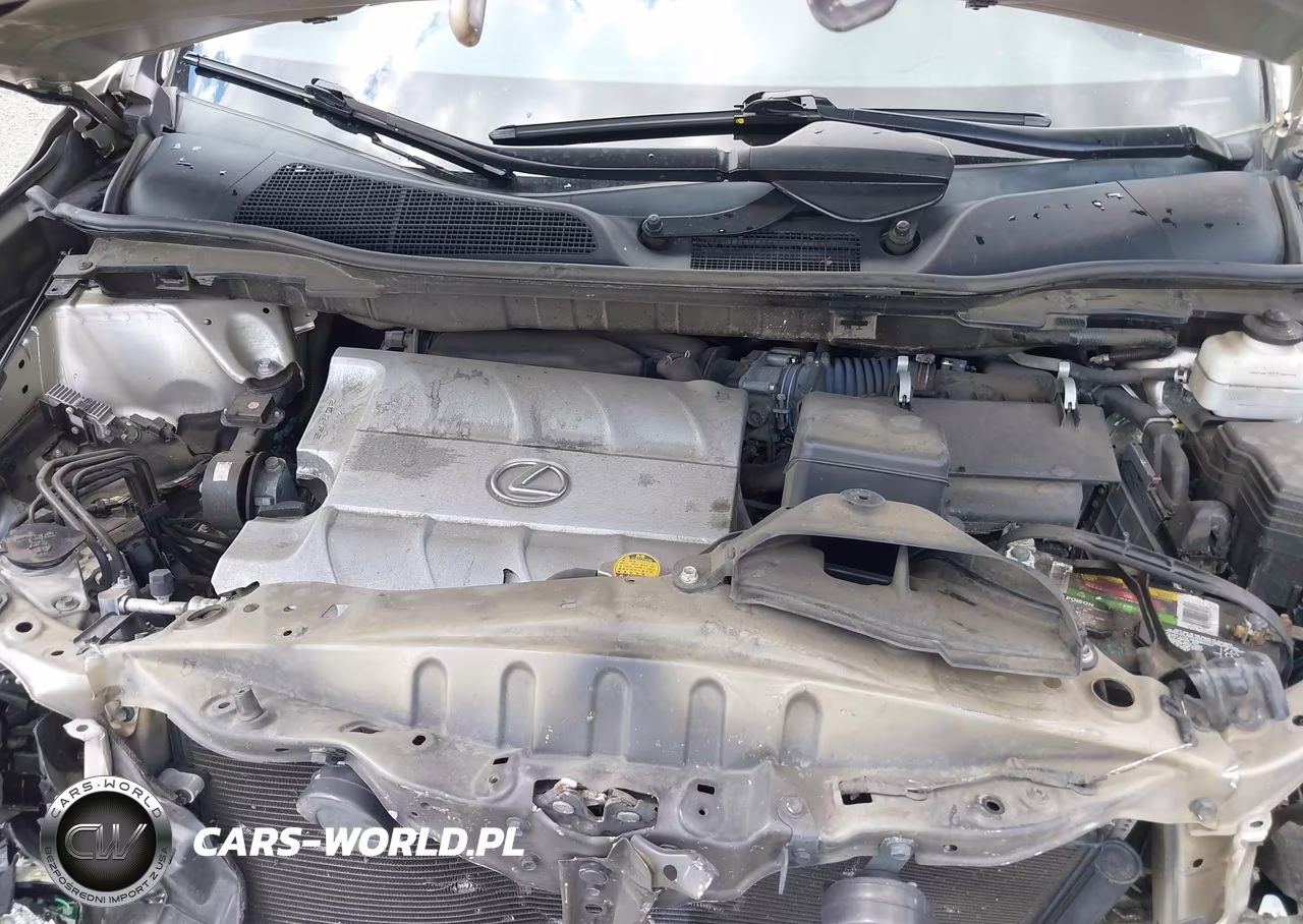 2014 Lexus Rx 350 VIN:2T2BK1BA5EC235999 - 10