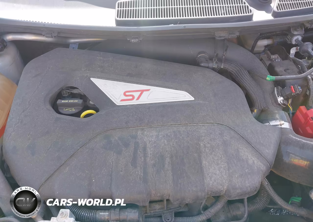 2019 Ford Fiesta St VIN:3FADP4GX7KM122125 - 10