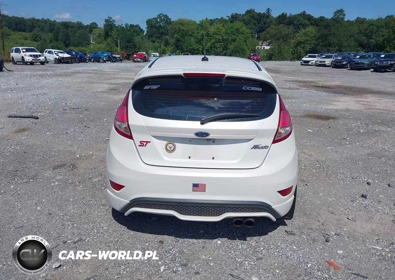2019 Ford Fiesta St VIN:3FADP4GX7KM122125 - 16