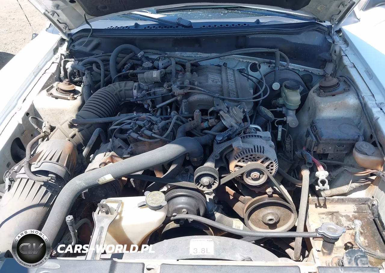 1998 Ford Mustang VIN:1FAFP4041WF258992 - 10
