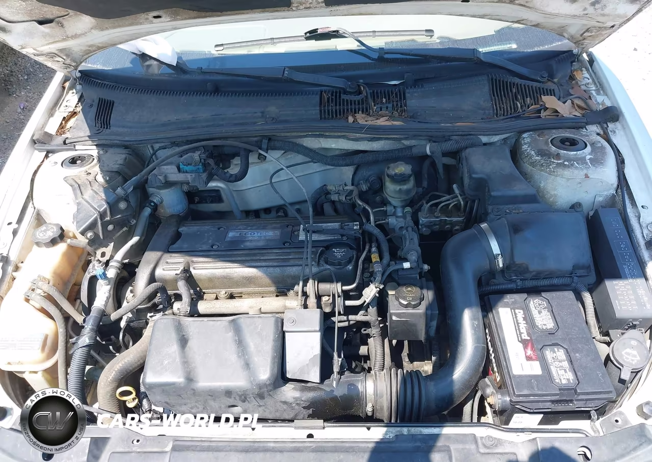 2004 Chevrolet Cavalier VIN:1G1JC52FX47143229 - 10