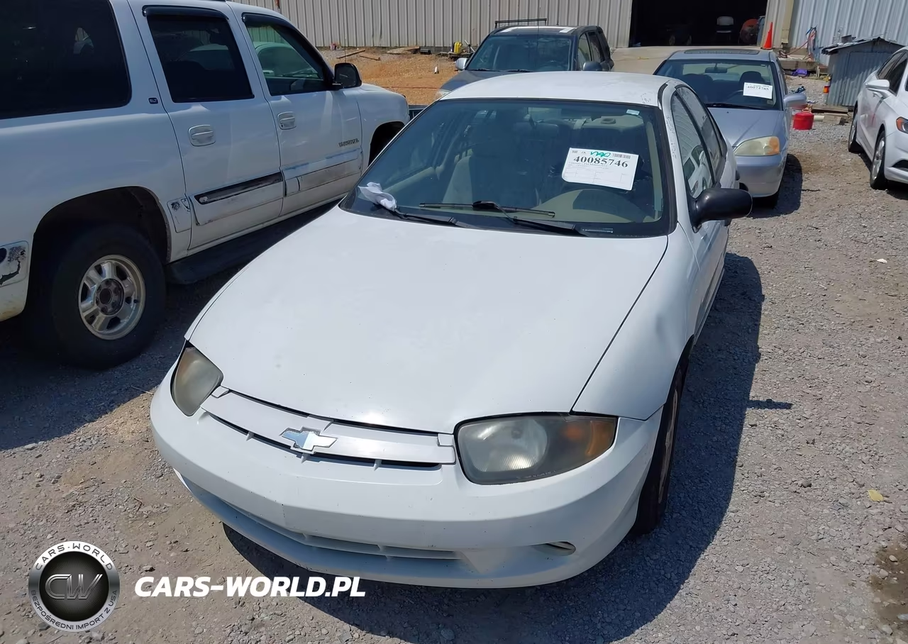 2004 Chevrolet Cavalier VIN:1G1JC52FX47143229 - 6