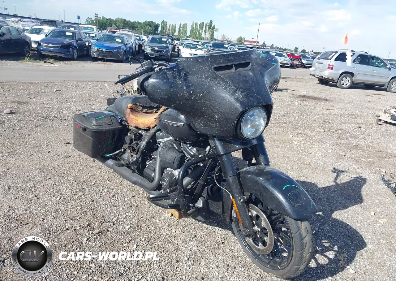 2018 Harley-Davidson Flhxs Street Glide Special – zdjęcie 1 z 10