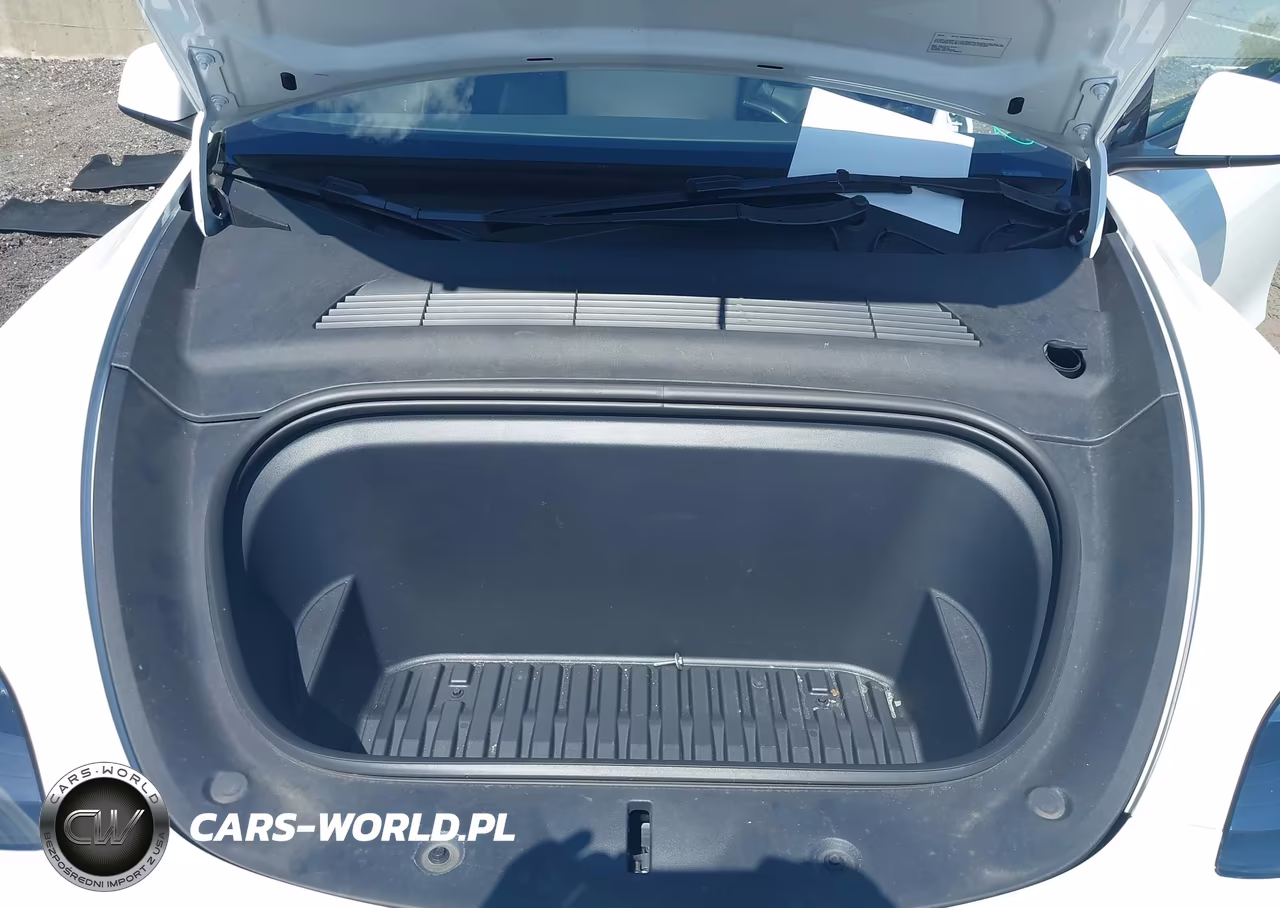 2023 Tesla Model Y VIN:7SAYGDEE9PA180732 - 10