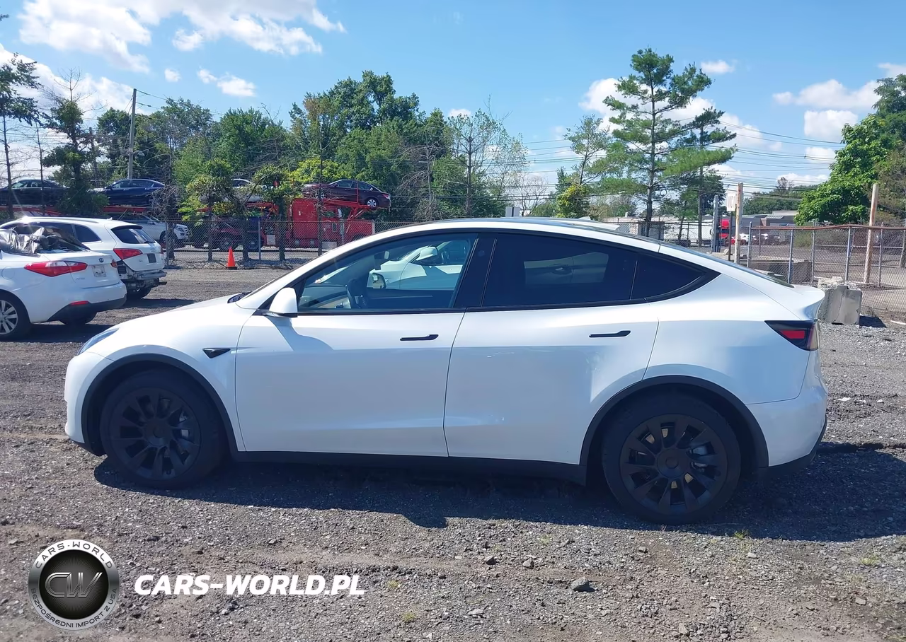 2023 Tesla Model Y VIN:7SAYGDEE9PA180732 - 15