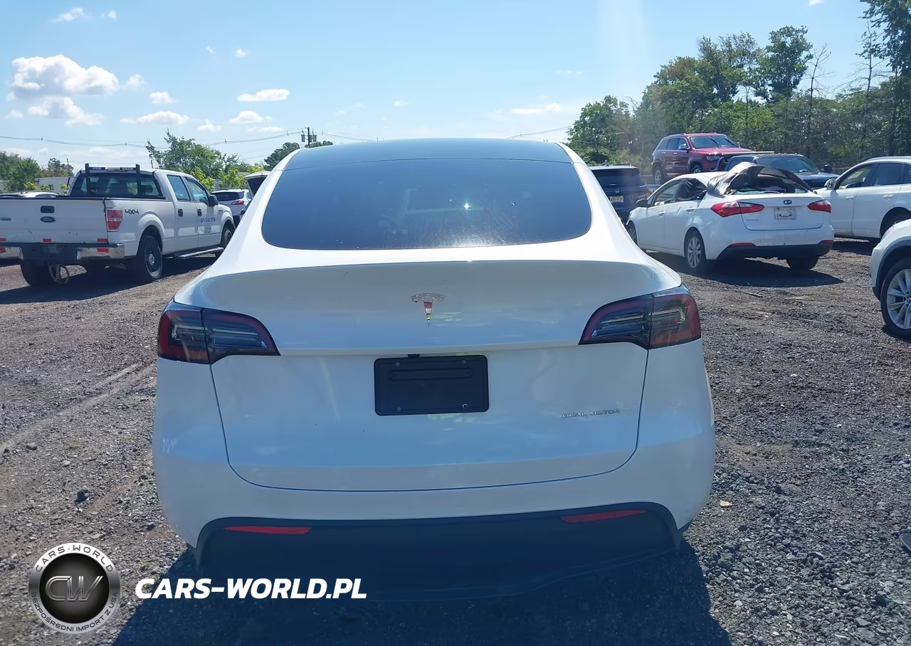 2023 Tesla Model Y VIN:7SAYGDEE9PA180732 - 17