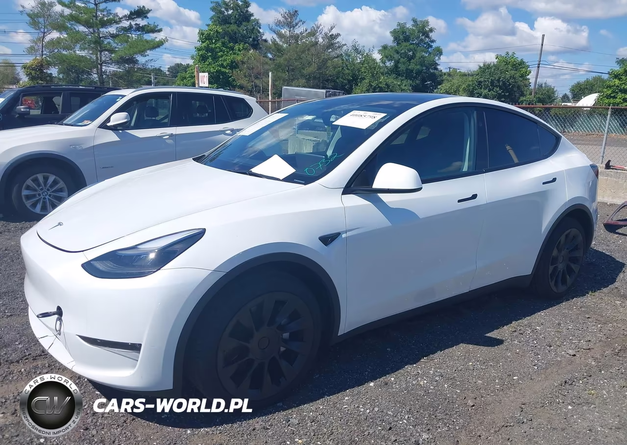 2023 Tesla Model Y VIN:7SAYGDEE9PA180732 - 2