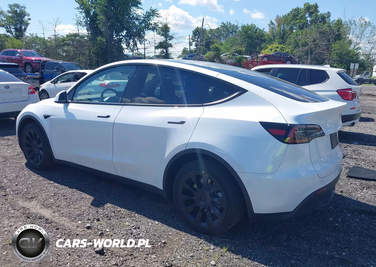 2023 Tesla Model Y VIN:7SAYGDEE9PA180732 - 3