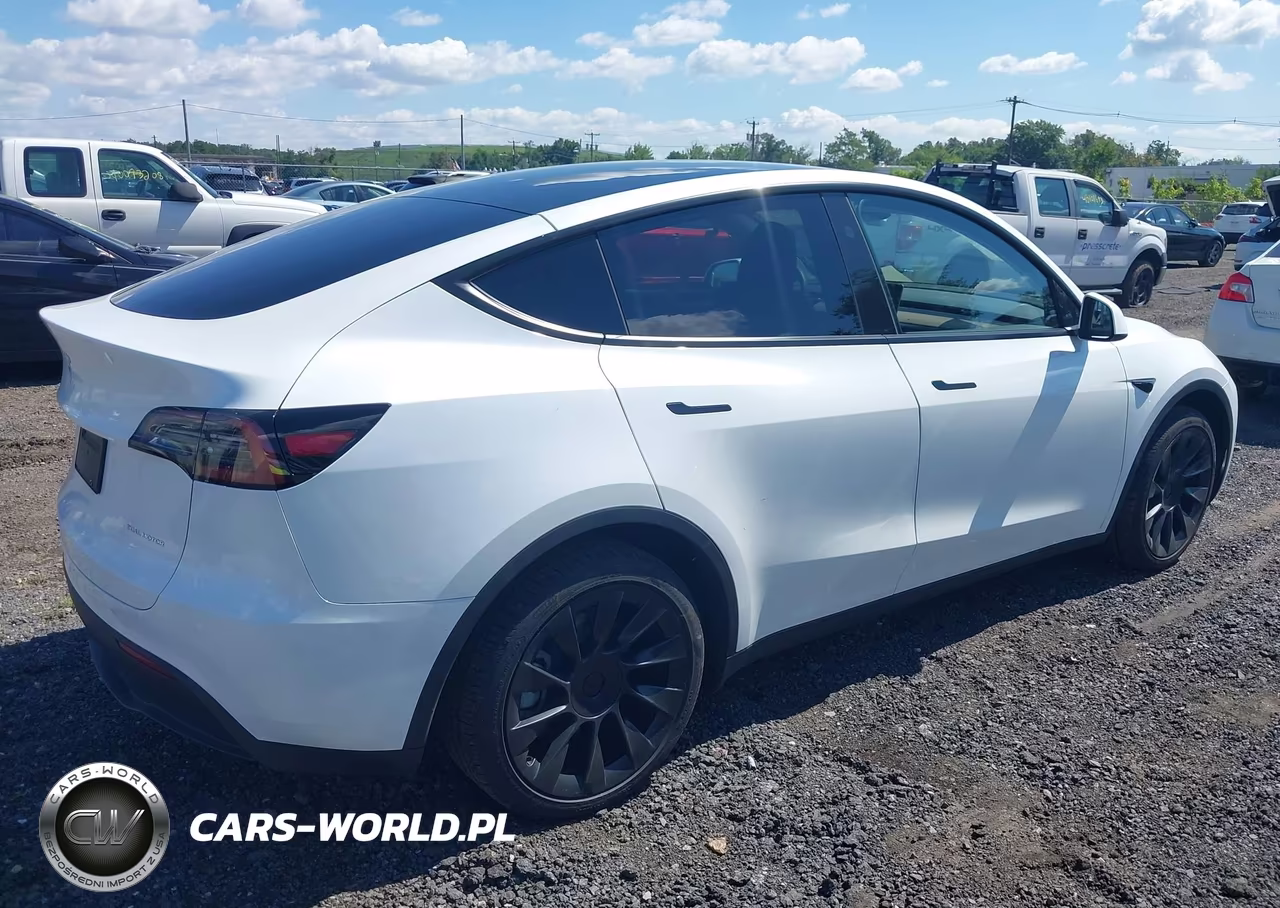 2023 Tesla Model Y VIN:7SAYGDEE9PA180732 - 4
