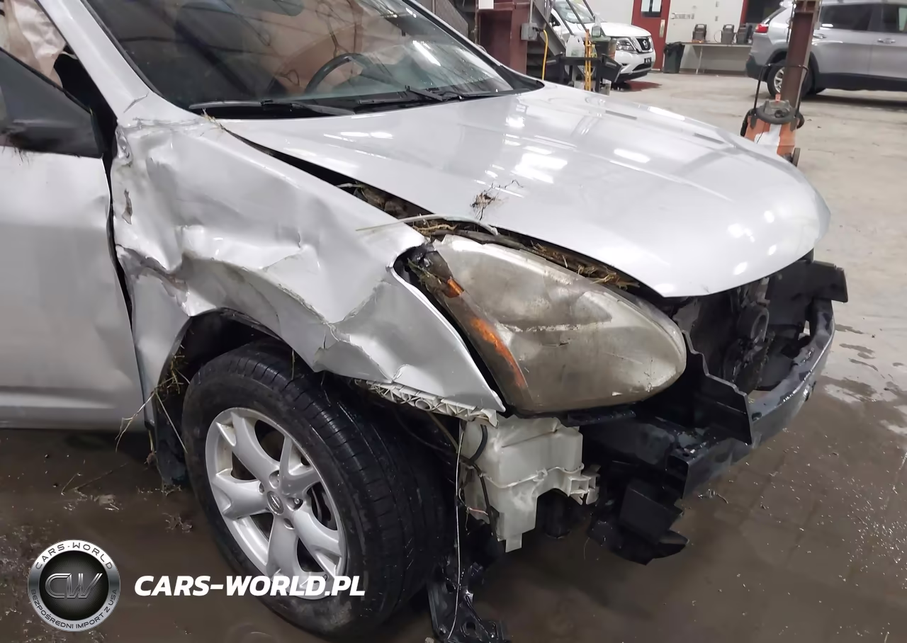 2009 Nissan Rogue Sl VIN:JN8AS58V49W440765 - 6