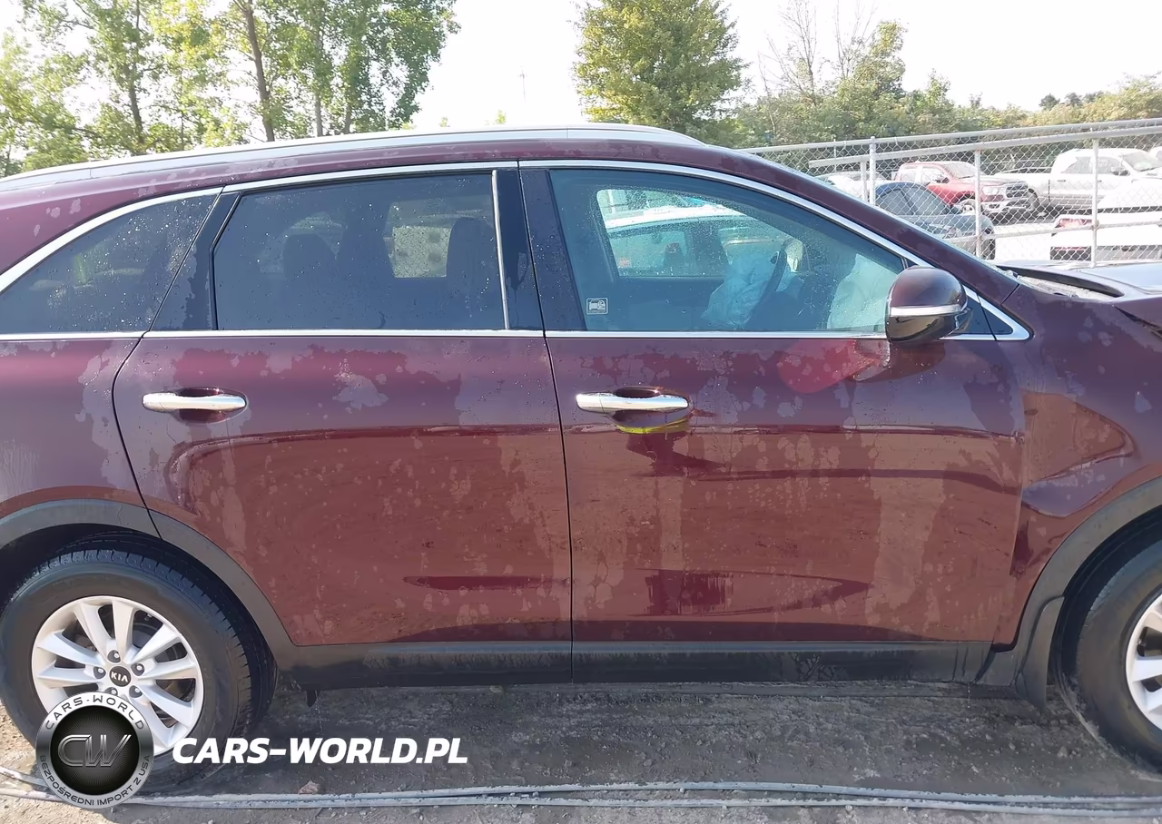 2019 Kia Sorento 2.4L Lx VIN:5XYPG4A30KG568563 - 13