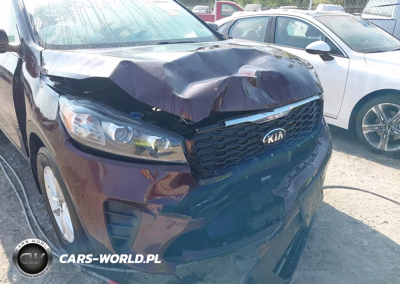 2019 Kia Sorento 2.4L Lx VIN:5XYPG4A30KG568563 - 6