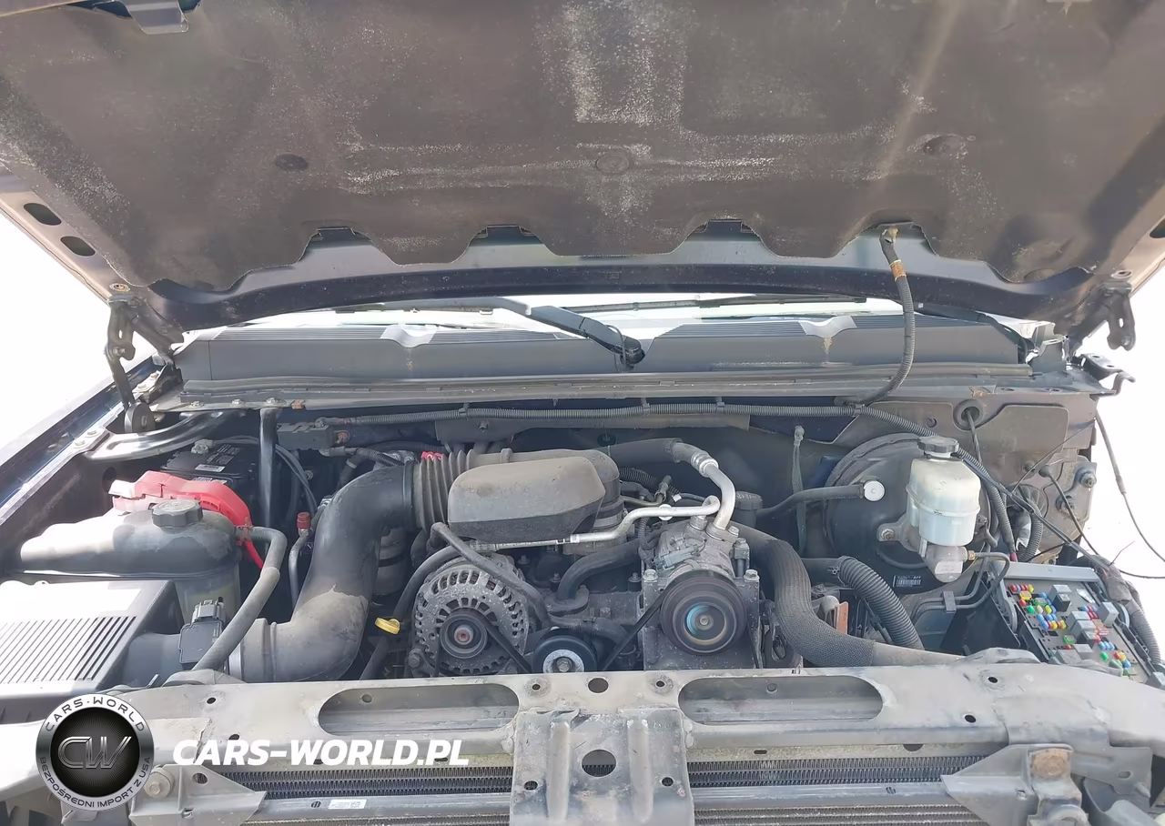 2009 Chevrolet Silverado 1500 Work Truck VIN:1GCEC19XX9Z121906 - 10