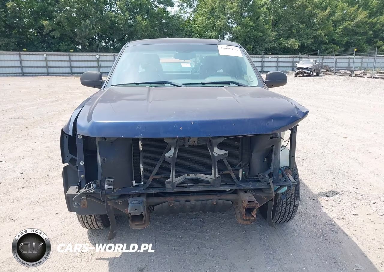 2009 Chevrolet Silverado 1500 Work Truck VIN:1GCEC19XX9Z121906 - 12