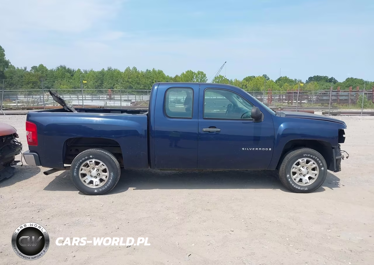 2009 Chevrolet Silverado 1500 Work Truck VIN:1GCEC19XX9Z121906 - 13