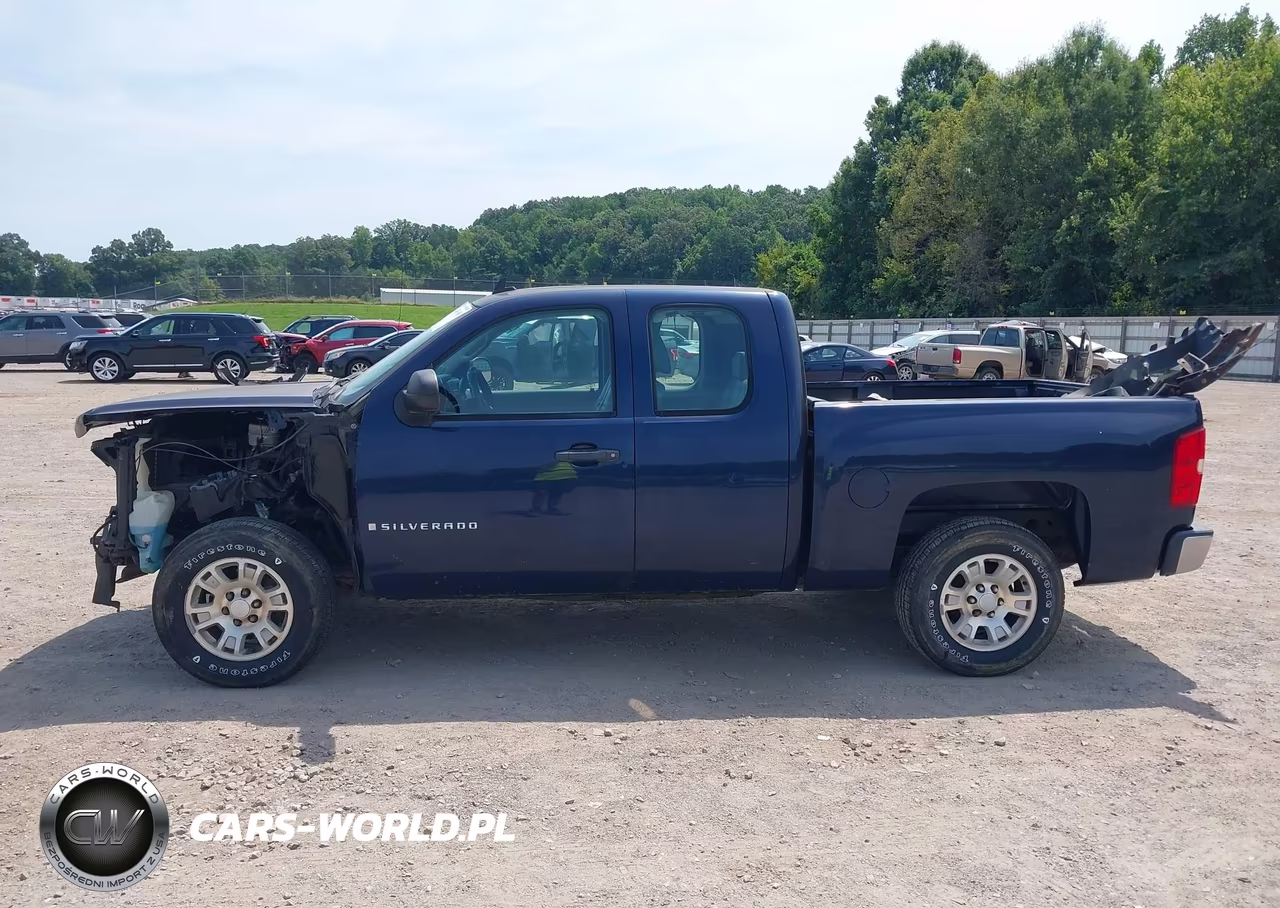 2009 Chevrolet Silverado 1500 Work Truck VIN:1GCEC19XX9Z121906 - 14
