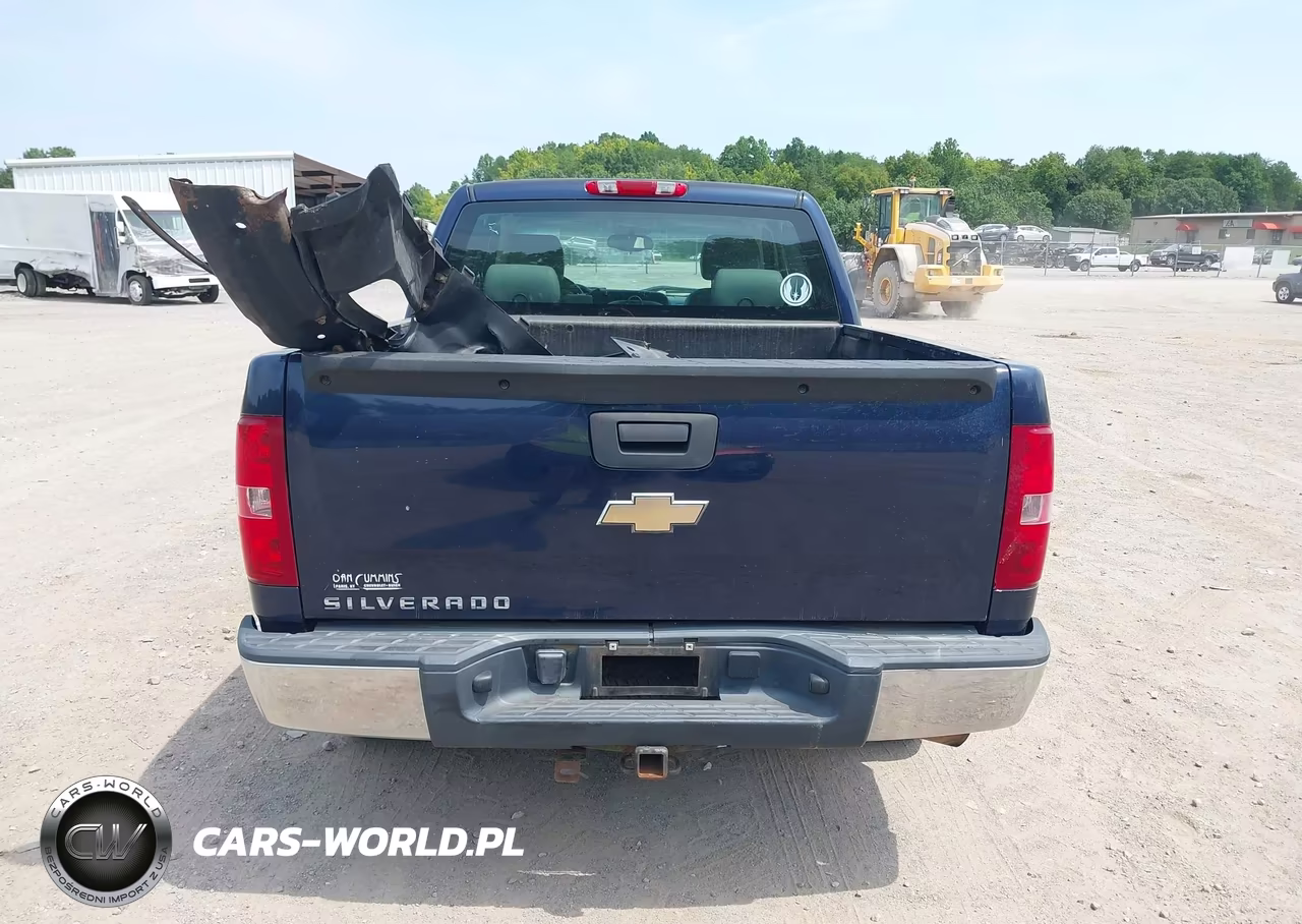 2009 Chevrolet Silverado 1500 Work Truck VIN:1GCEC19XX9Z121906 - 16