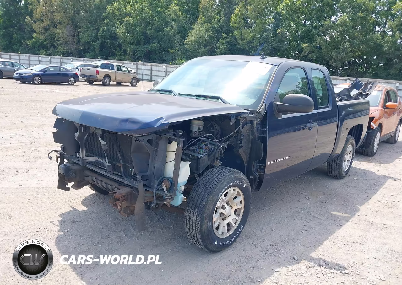 2009 Chevrolet Silverado 1500 Work Truck VIN:1GCEC19XX9Z121906 - 2