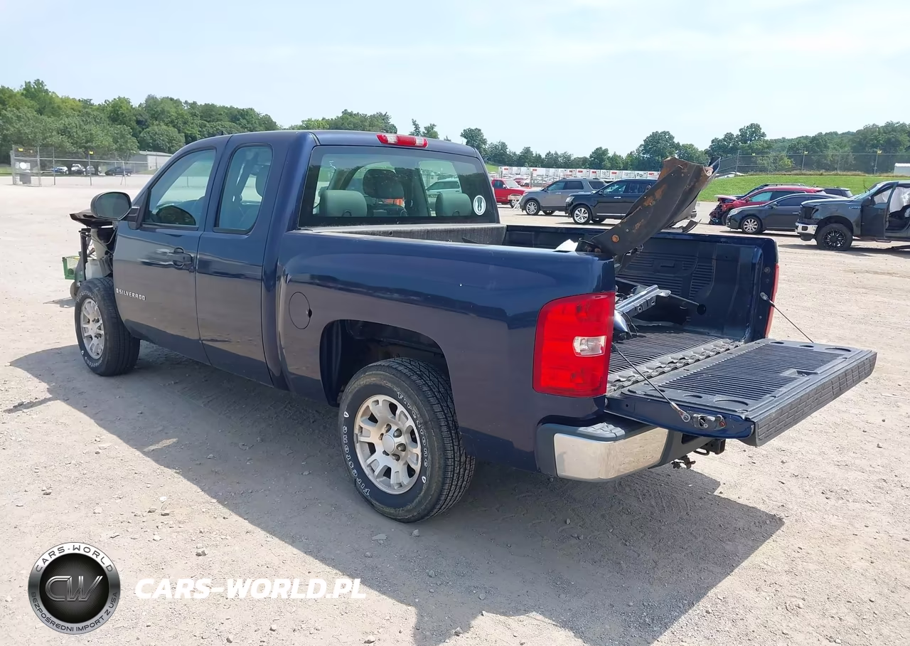 2009 Chevrolet Silverado 1500 Work Truck VIN:1GCEC19XX9Z121906 - 3