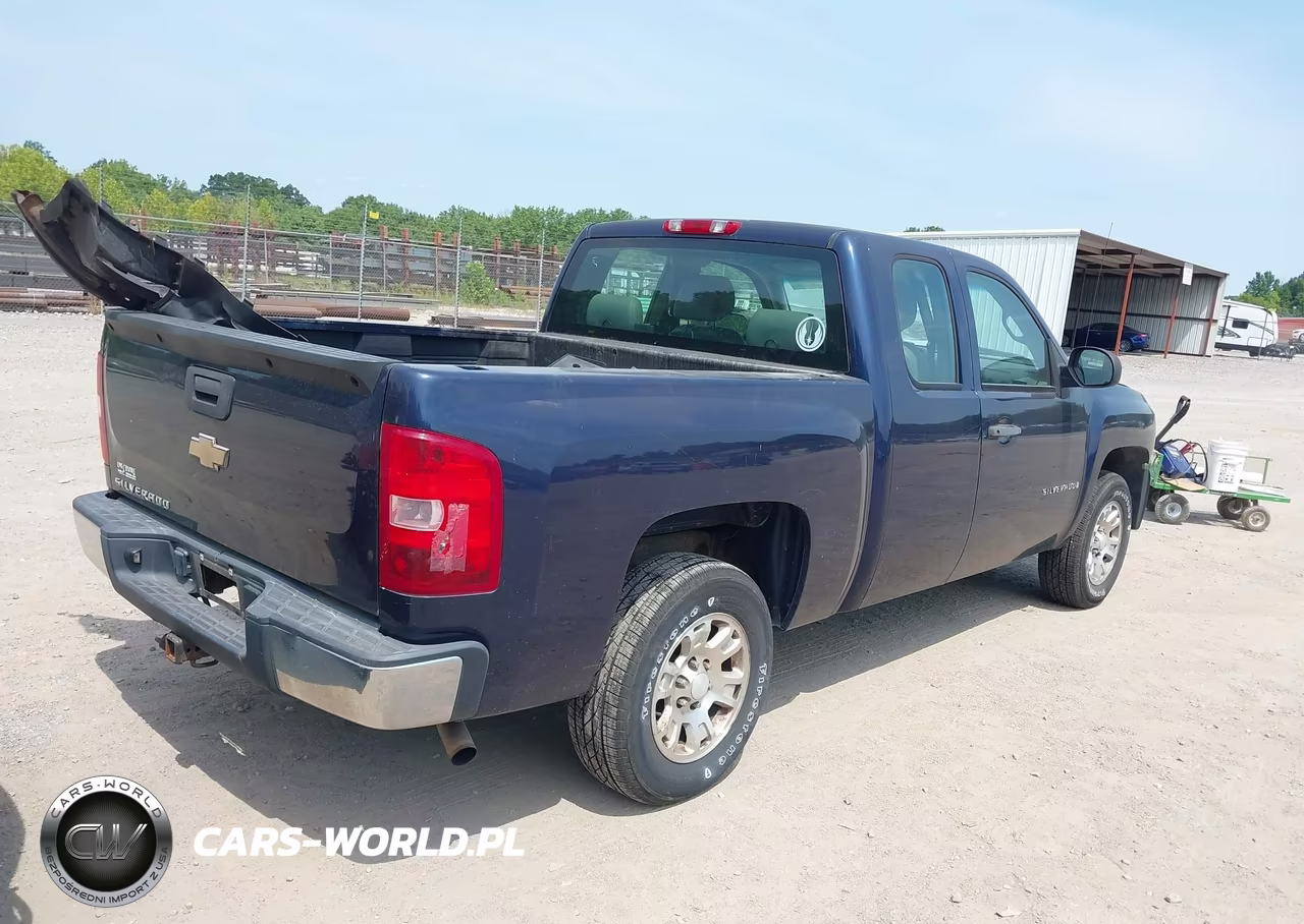 2009 Chevrolet Silverado 1500 Work Truck VIN:1GCEC19XX9Z121906 - 4