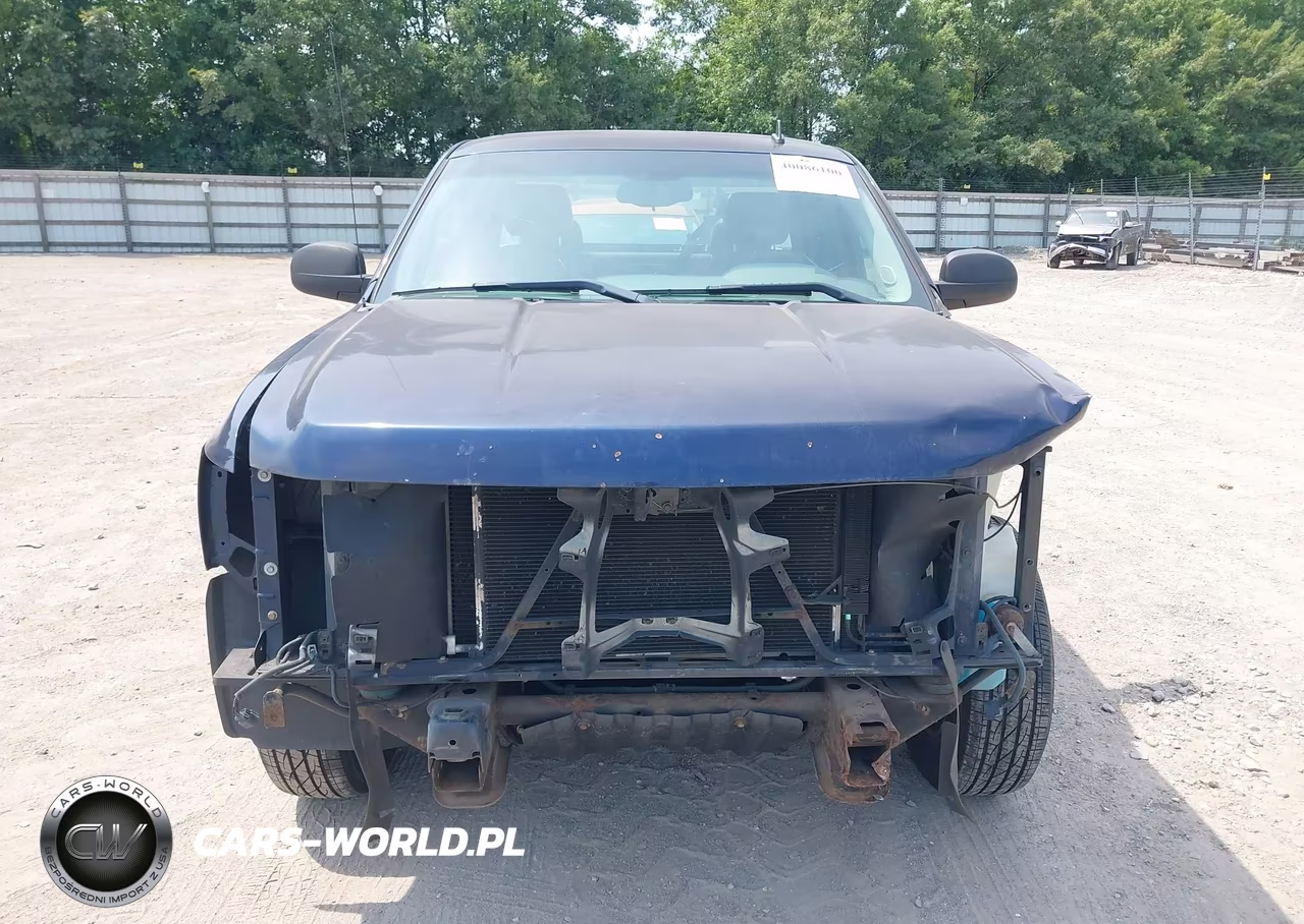 2009 Chevrolet Silverado 1500 Work Truck VIN:1GCEC19XX9Z121906 - 6