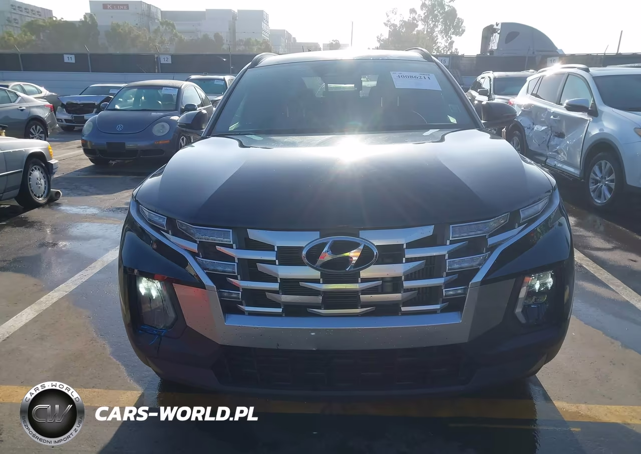 HYUNDAI SANTA CRUZ VIN:5NTJDDAF1NH005481 - 12