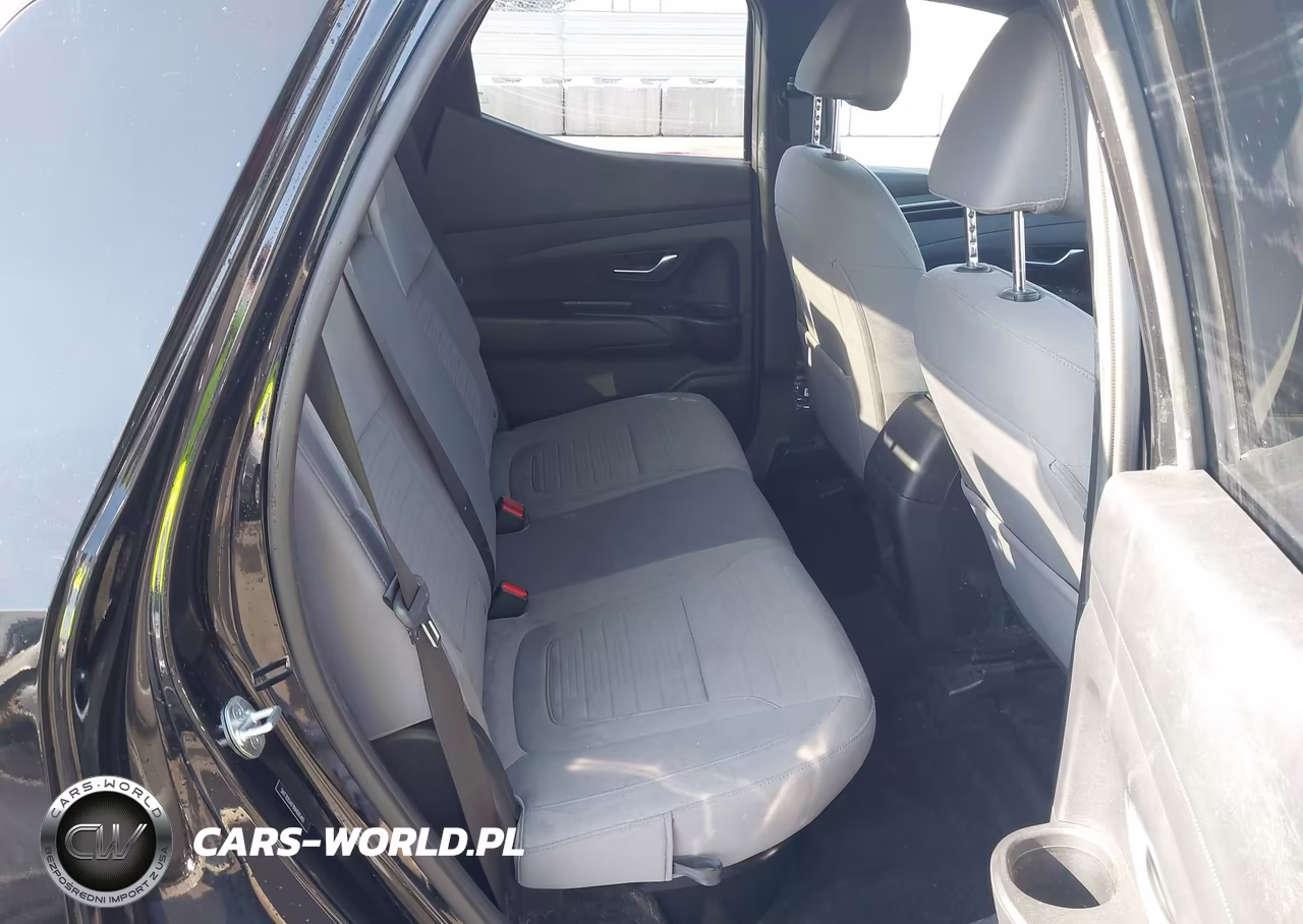 HYUNDAI SANTA CRUZ VIN:5NTJDDAF1NH005481 - 8